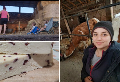 НИСАМ ЗНАЛА НИ КАКО КРАВА ИЗГЛЕДА, А САД МУЗЕМ 32: Јована је с породицом из Сремске Митровице отишла на село ОВО ЈЕ ЊЕНА ПРИЧА