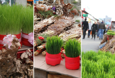 ОВАКО ЋЕ ВАМ БОЖИЋНА ПШЕНИЦА БИТИ САВРШЕНА Више је никада нећете куповати у продавници ако примените ОВЕ САВЕТЕ