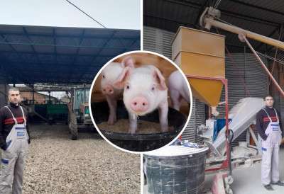 ОД ФАКУЛТЕТА И СПОРТСКЕ КАРИЈЕРЕ, ДО 50 КРМАЧА И 1.000 ТОВЉЕНИКА ГОДИШЊЕ: Ово је прича о младом домаћину Сретену из Чалме