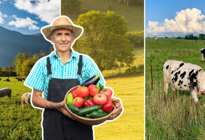 НОВА ПРАВИЛА О КОРИШЋЕЊУ ПАШЊАКА: Фармери, уз сагласност Министарства пољопривреде, спремили предлог; Ово су СВИ ДЕТАЉИ