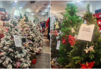 ПРАЗНИЧНИ СИМБОЛ ПО ЛУКСУЗНОЈ ЦЕНИ Јелке никад скупље, па купци све теже отварају новчаник ОВО ЈЕ ЦЕНОВНИК