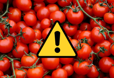 ШТА МИ ТО ЈЕДЕМО? CHERRY парадајз повучен са тржишта због ОПАСНОГ ПЕСТИЦИДА