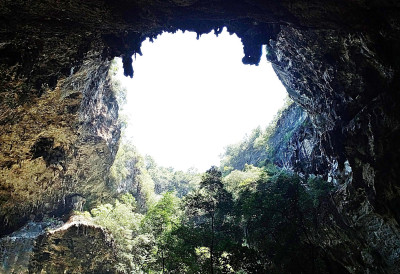 ЧОВЕК ПОКЛАЊА ПЕЋИНУ НА КОРИШЋЕЊЕ Овај оглас је ЗБУНИО СРБИЈУ