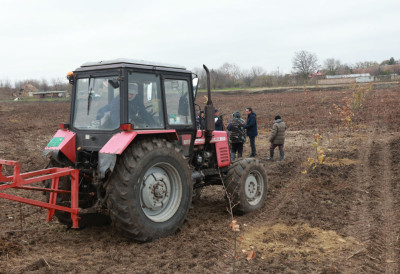 САДИ СЕ ВЕТРОЗАШТИТА ОД ИЂОША ПРЕМА МОКРИНУ Појас од липе, храста, дрена, јоргована...РАДОВИ У ПУНОМ ЈЕКУ
