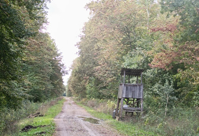 ЈАВНА РАСПРАВА У ШИДУ И СРЕМСКОЈ МИТРОВИЦИ  Босутске шуме као резерват природе