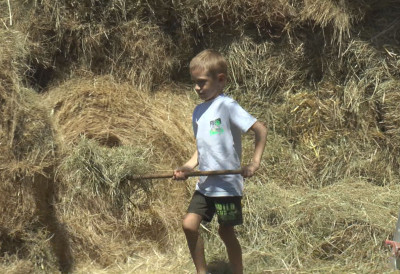 (ФОТО) ИМА СЕДАМ ГОДИНА И ПРАВИ ЈЕ ДОМАЋИН Богдан је понос породице, брине о домаћинству као велики