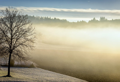 МАГЛА, МРАЗ И МОГУЋА ПОЛЕДИЦА ШИРОМ СРБИЈЕ Капе, рукавице и топла обућа обавезни А ТЕК ДА ВИДИТЕ ШТА НАС ЧЕКА НАРЕДНИХ ДАНА