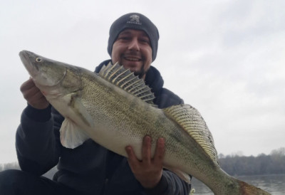 РАПОРТ С ВОДЕ На варалицу уловио смуђа од  5,3 килограма