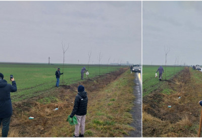 (ФОТО) ВОЛОНТЕРИ ИЗ СУБОТИЦЕ ГРАДЕ ЕКОЛОШКИ ШТИТ ВОЈВОДИНЕ Упркос киши и ветру, садња није стала ЦИЉ ЈЕ 120 КИЛОМЕТАРА ДРВОРЕДА