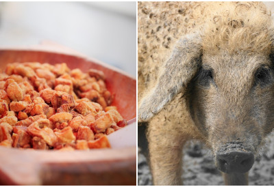 Чварци, салчићи, свеже месо у Засавици! У СУБОТУ ДАНИ МАНГУЛИЦЕ-СРЕМСКИ СВИЊОКОЉ