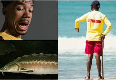 ЧУДНО СТВОРЕЊЕ ШОКИРАЛО ПОСЕТИОЦЕ ПЛАЖЕ! Море избацило преживелу реликвију древног света!