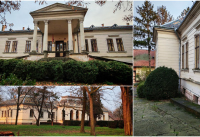 (ФОТО, ВИДЕО) ТИШИНУ И ДУХОВЕ У ОВОМ ДВОРЦУ ЗАМЕНИЛИ СУ ПЕСМА И ДЕЧЈА ГРАЈА Здање Даниел у Конаку преживело је захваљујући новој намени САДА ЈЕ МЕСТО ЗНАЊА, ЈЕЗИКА И КУЛТУРЕ