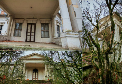 ЛЕТЊИКОВАЦ СОКОЛАЦ ЛАЗАРА ДУНЂЕРСКОГ ЗАВРШИО НА ДОБОШУ Продаје се и Ленкина слика, а држава има право прече куповине