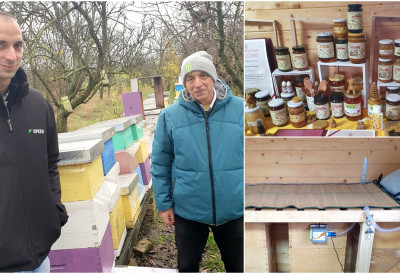 КОТРЉАЊЕ РАВНИЦОМ: АПИТЕРАПИЈА У СРЦУ СИГЕТСКИХ ЛИВАДА И ЗАСАДА ЖАЛФИЈА Необично место где мед лечи тело и душу