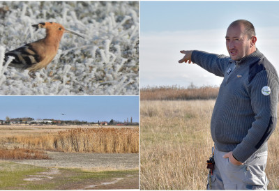 (ФОТО, ВИДЕО) КАЊИШКИ ЈАРАШИ – ЧУВАР РЕТКИХ ВРСТА Слатине на ивици жеђи ШТА СЕ ДЕШАВА КАДА НЕСТАНЕ ВОДЕ?