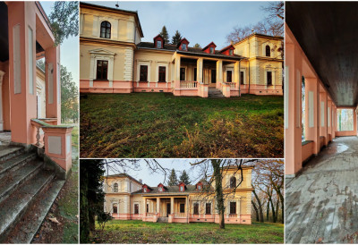 (ФОТО) ОД ЛИВНА ДО БАНАТА Ово је прича о Јагодићима, задужбинарима Матице српске и њиховом дворцу КОЈИ ФИЛМАЏИЈЕ ОБОЖАВАЈУ