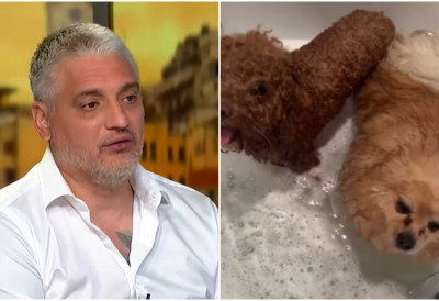 (ВИДЕО) ЧЕДИНИ ПСИ У ЏАКУЗИЈУ! Снимак постао виралан, живе као ЦАРЕВИ: Шминкерај после "јутарње журке"