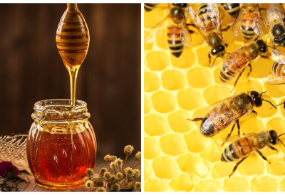 ВЕЛИКА ПОБЕДА ПЧЕЛАРА Пропао покушај да се "ВЕГАНСКИ МЕД" заштити патентом