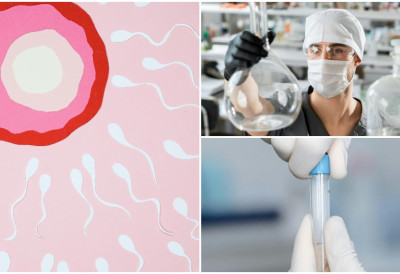 Смртоносни ген стигао и у Србију! ДА ЛИ НАША ЗЕМЉА ИМА УГОВОР С БАНКОМ СПЕРМЕ У ДАНСКОЈ из које је потекла СЕМЕНА ТЕЧНОСТ СПОРНОГ ДОНОРА