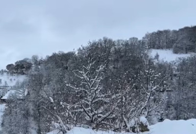 СРПСКА ПЛАНИНСКА ЛЕПОТИЦА ЗА МНОГЕ И ДАЉЕ ТАЈНА  Бајковита природа а цене пријатељске