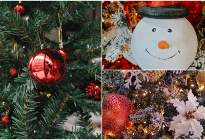 У свету ОВАЈ БИЗНИС увелико постоји, а каква је СИТУАЦИЈА У СРБИЈИ? Идеја је добра, али у пракси: Да ли код нас може да се ИЗНАЈМИ ЈЕЛКА све с доставом?