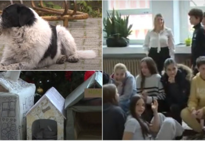 ПЕТИЦА КАО КУЋА ЗА „ЂОКИНЕ“ ОСНОВЦЕ Од картона и најлона ученици у холу школе НАПРАВИЛИ ТОПЛИ ДОМ ЗА ПСЕ Нису заборавили ни на храну, МИРНА ЗИМА и за пријатеље на 4 ноге