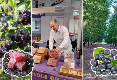 РАТЛУК ОД АРОНИЈЕ И НАРА, КОКОС И МЛЕВЕНИ ЛЕШНИК УМЕСТО ПРАХ ШЕЋЕРА: Ранко Панић из Бачке Паланке залудео сладокусце својим оригиналним рецептима, а награде само стижу