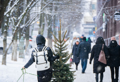 ПОЧИЊЕ ПРАВА ЗИМА Ево када можемо да очекујемо СНЕГ, КОШАВУ И ЈАК МИНУС