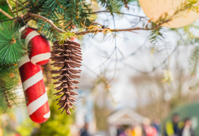 НОВОГОДИШЊИ ВАШАР ОД 29. ДО 31. ДЕЦЕМБРА Три дана добре забаве у Апатину