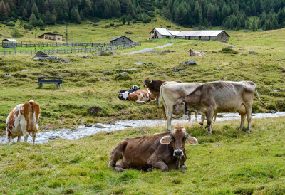 ПЛАТА ОКО 900 ЕВРА, ДВА ДАНА РАДА, ДВА СЛОБОДНА Модерна фарма тражи раднике, али пријава нема