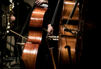 НОВИ САД РАМЕ УЗ РАМЕ СА МОСКВОМ Градски превоз биће претворен у концертну дворану! Жарко Мићин наставља утабаним стазама Милоша Вучевића