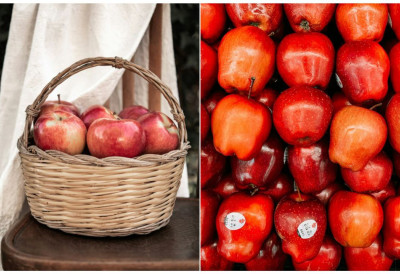 БРОЈЕВИ НА НАЛЕПНИЦАМА НА ЈАБУКАМА КРИЈУ ЊИХОВО ПОРЕКЛО Проверите одмах да ли једете оне које су расле на сунцу или које су део инжињеринга