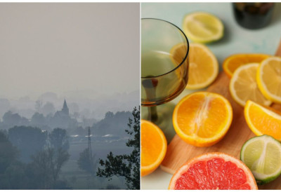 ОВАЈ ВИТАМИН ЈЕ САВРШЕН САВЕЗНИК У БОРБИ СА СМОГОМ Имате га код куће, а ево како утиче на ваша плућа