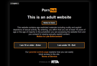 УЖИВАОЦИ ПОРНОГРАФИЈЕ У ПАНИЦИ Хакери у поседу личних података за више од 200 милиона корисника овог популарног сајта за одрасле ЗНАЈУ СВЕ ВАШЕ ФЕТИШЕ, ШТА И КОЛИКО ГЛЕДАТЕ