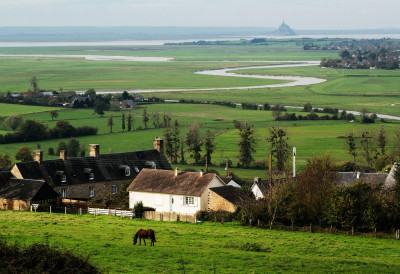 (ВИДЕО) ЖИВОТ БЕЗ РАЧУНА Породица у Британији саградила кућу на селу ЗА 14.000 ЕВРА, све што троше - САМИ ПРОИЗВОДЕ