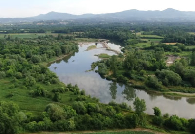 РЕКА ИЗБАЦИЛА И УГИНУЛЕ КАПИТАЛЦЕ Незапамћен помор рибе у Западној Морави, нико не зна разлог ГРАЂАНИ ТРАЖЕ ХИТНУ РЕАКЦИЈУ НАДЛЕЖНИХ (ФОТО)