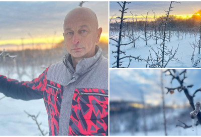 ВОЋЊАЦИ ПОД СНЕГОМ И ЛЕДОМ Да ли воћари треба да страхују за род ЕВО ШТА КАЖУ СТРУЧЊАЦИ