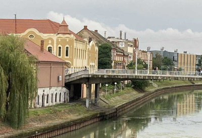 ЗРЕЊАНИНСКА „ЦИКЛОНИЗАЦИЈА ЛОГИСТИКА” ПОДНЕЛА ГОДИШЊИ ИЗВЕШТАЈ Урбани комарци доминирају