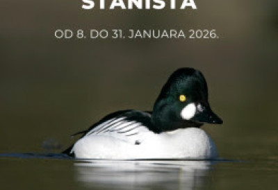 ЉУБИТЕЉИМА ПРИРОДЕ ПОЗИВ НА ТЕРЕНСКИ РАД Попис птица до краја јануара