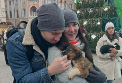 РЕКОРДНА ГОДИНА ЗА УДОМЉАВАЊЕ ПАСА: Из прихватилишта у Новом Саду дом пронашло 270 љубимаца