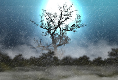 (ВИДЕО) ОПРЕЗ, МАГЛА НА ПУТЕВИМА! Снег, ледена киша, и јак мраз паралишу Србију ЕВО ГДЕ ЋЕ БИТИ НАЈГОРЕ