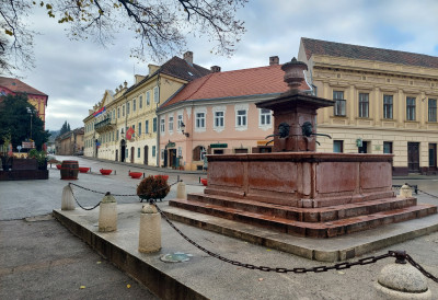 У СРЕМСКИМ КАРЛОВЦИМА РОЂЕНО САМО 47 БЕБА ЗА ГОДИНУ ДАНА! 23 новорођенчади мање него претходне године, зашто једно од најлепших места у Србији пада у бејби кризу?