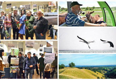 Крхка природа Војводине ИЗЛОЖБА „ДНЕВНИКОВИХ” ФОТОРЕПОРТЕРА У ДИГИТАЛНОМ ОМЛАДИНСКОМ ЦЕНТРУ