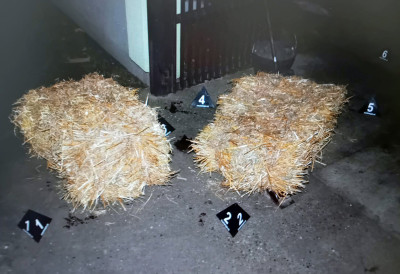 ЗБОГ УБИСТВА КОЈЕ СЕ ДОГОДИЛО НА БАДЊЕ ВЕЧЕ ПРОШЛЕ ГОДИНЕ, У ПРИТВОРУ М. Ш. К. Болест једног окривљеног одложила суђење за злочин у Инђији