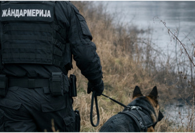 Шести дан потраге за Милицом (25) из Балајнца ПАС ТРАГАЧ И ЖАНДАРМЕРИЈА ПРЕТРАЖУЈУ ТЕРЕН УЗ ЈУЖНУ МОРАВУ