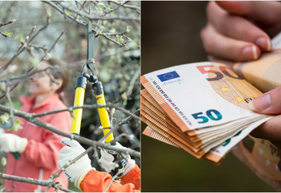 ЗА ОВАЈ ПОСАО СЕ ВРЕДИ СМРЗНУТИ Дневнице расту из године у годину ИДУ И ДО 100 ЕВРА!