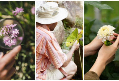 БУДИТЕ ДЕО НАУКЕ! Ботаничари из Новог Сада позивају грађане да постану „очи и уши“ науке у првој дигиталној мапи флоре Србије