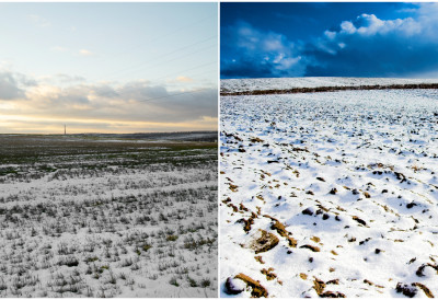 Добра вест за пољопривреднике ЗИМА ПРАВИ ХАОС У САОБРАЋАЈУ, АЛИ  СНЕГ И ХЛАДНОЋА ОБЕЋАВАЈУ ОДЛИЧНЕ ПРИНОСЕ