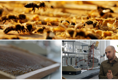 ОД ПЧЕЛАРСКОГ ОТПАДА ДО КОЗМЕТИЧКОГ ЗЛАТА! Оно што су пчелари бацали данас може да вреди МИЛИОНЕ