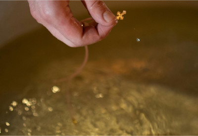 ШТА СЕ РАДИ СА СТАРОМ БОГОЈАВЉЕНСКОМ СВЕТОМ ВОДИЦОМ Када у кућу стигне нова једино ово је исправно